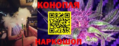 альфа пвп Камышлов