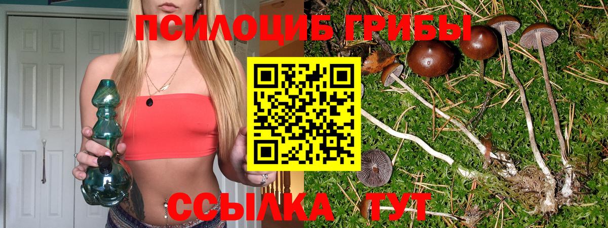 Псилоцибиновые грибы мицелий Азов